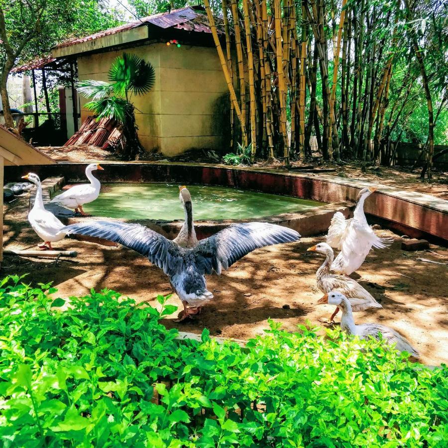 Dew Drops Boutique Retreat Hotell Igatpuri Eksteriør bilde